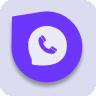 BRAIP VOICE VALE A PENA