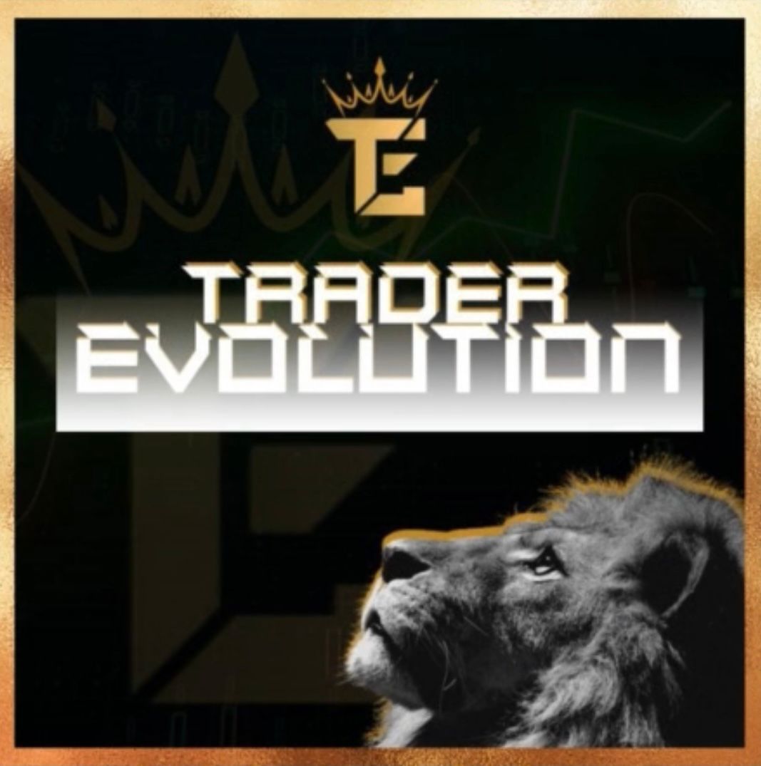 MENTORIA TRADER EVOLUTION VALE A PENA