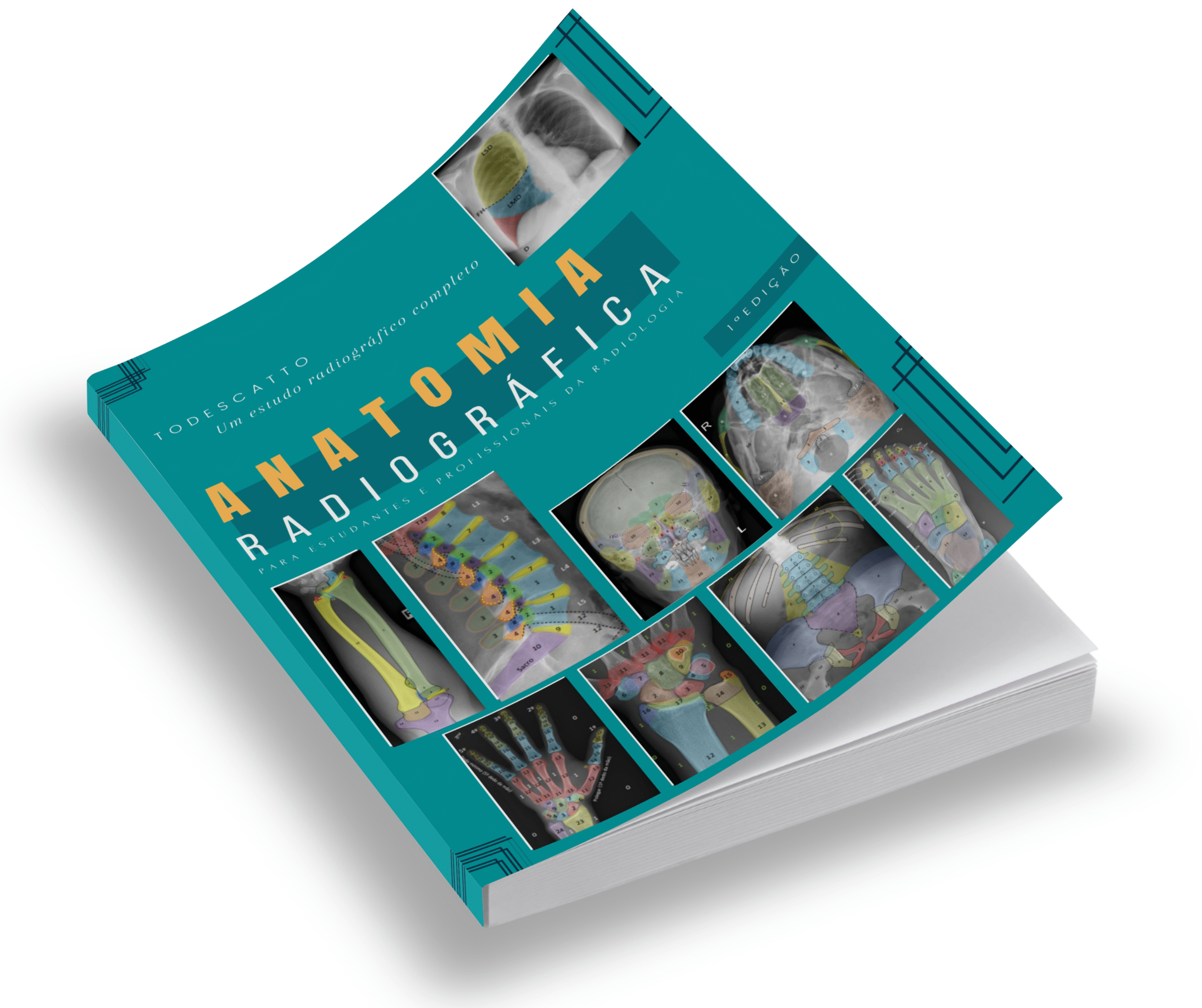 LIVRO DE ANATOMIA RADIOGRAFICA VALE A PENA